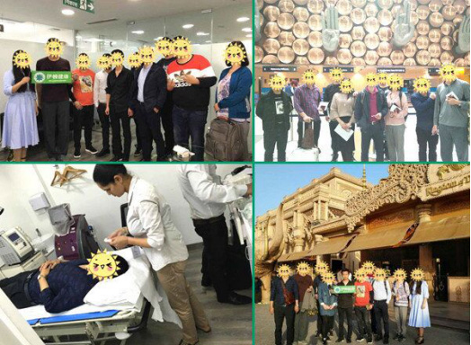 伊顿健康出国治疗团