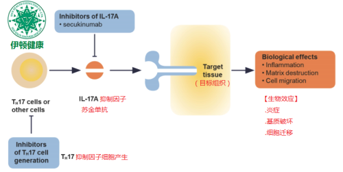 伊顿健康苏金丹抗