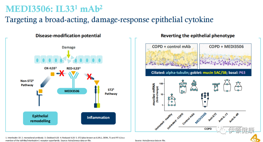 慢阻肺新药临床开展美国阿斯利康研发新靶点药物 伊顿健康