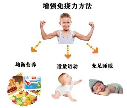 日常生活该如何提高免疫力? - 伊顿健康