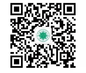 小苗